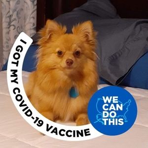 Meet your Posher, Vonda